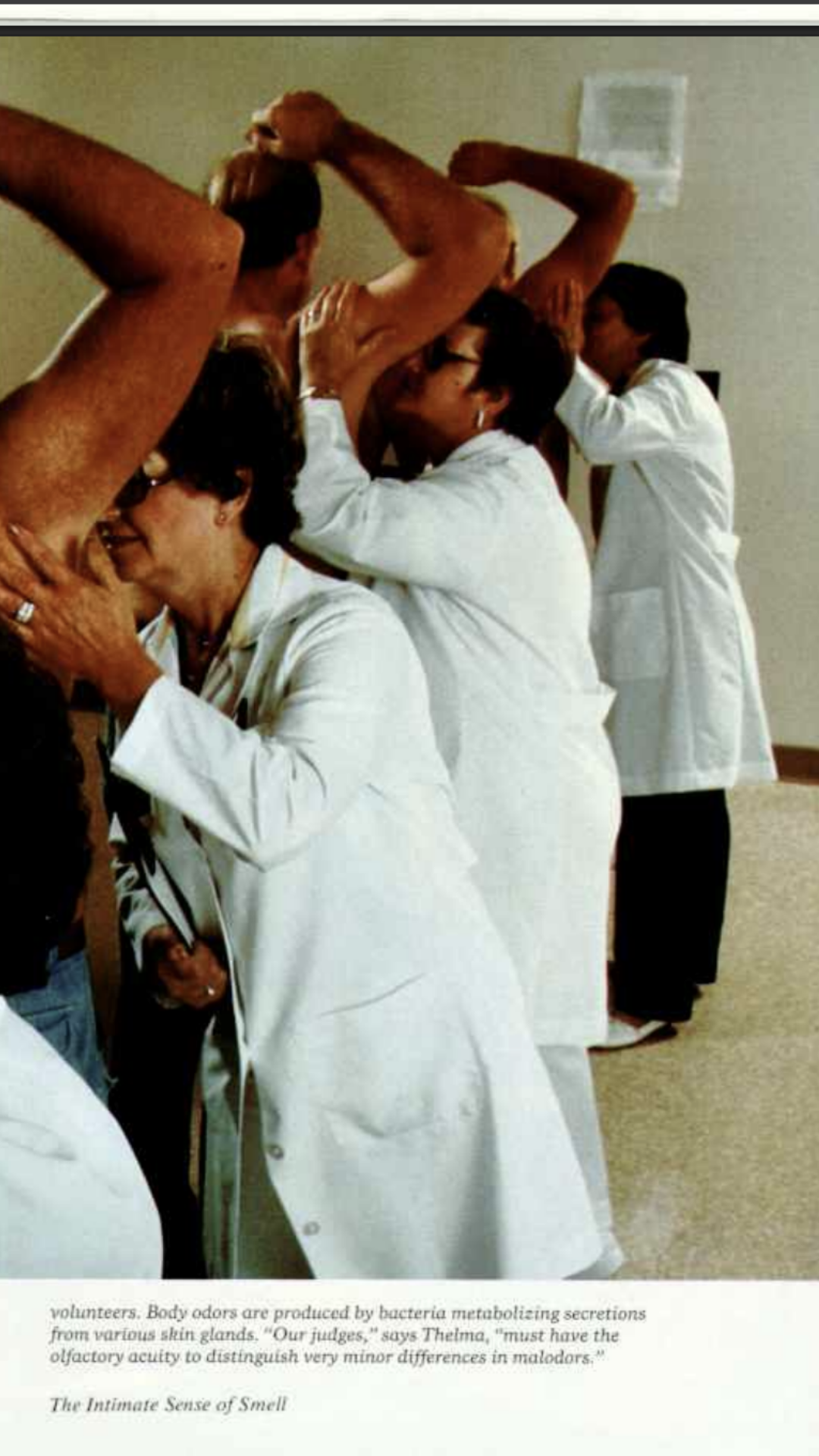 Why Do My Underarms Suddenly Stink After Switching to a Natural Deodorant?